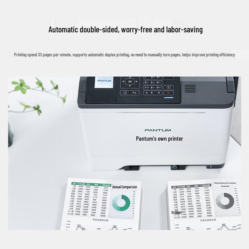 Pantum CP2510DN A4 Color Laser Printer CN plug (adapter included)