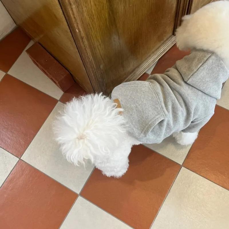 Warm Winter Pet Hoodie Versatile Plush Hoodie Teddy Bear Schnauzer Coat Pet Cat Small Dog Clothes for Small Dogs Puppy Clothing