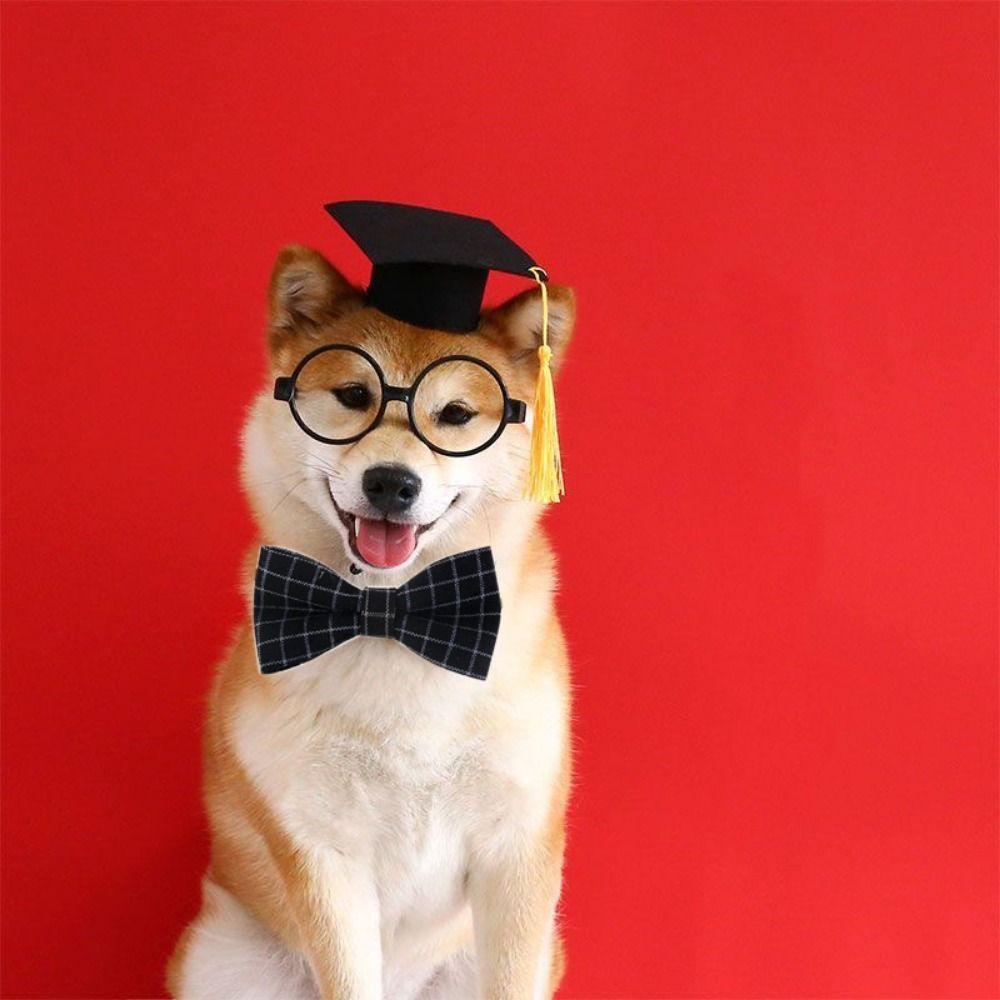 With Tassel Cat Graduation Cap Felt Dog Degree Hat Puppy Cap Dog Dr. Hat  Photograph