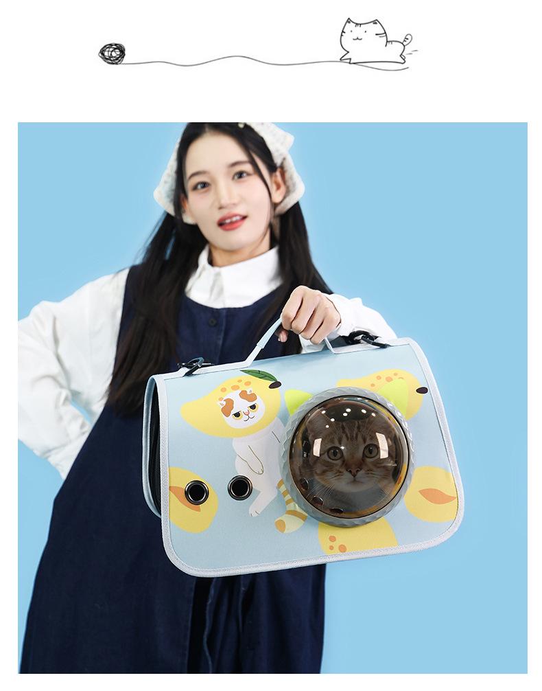 Portable Foldable Pet Space Capsule: Large Capacity Airline Crate for Cats and Dogs