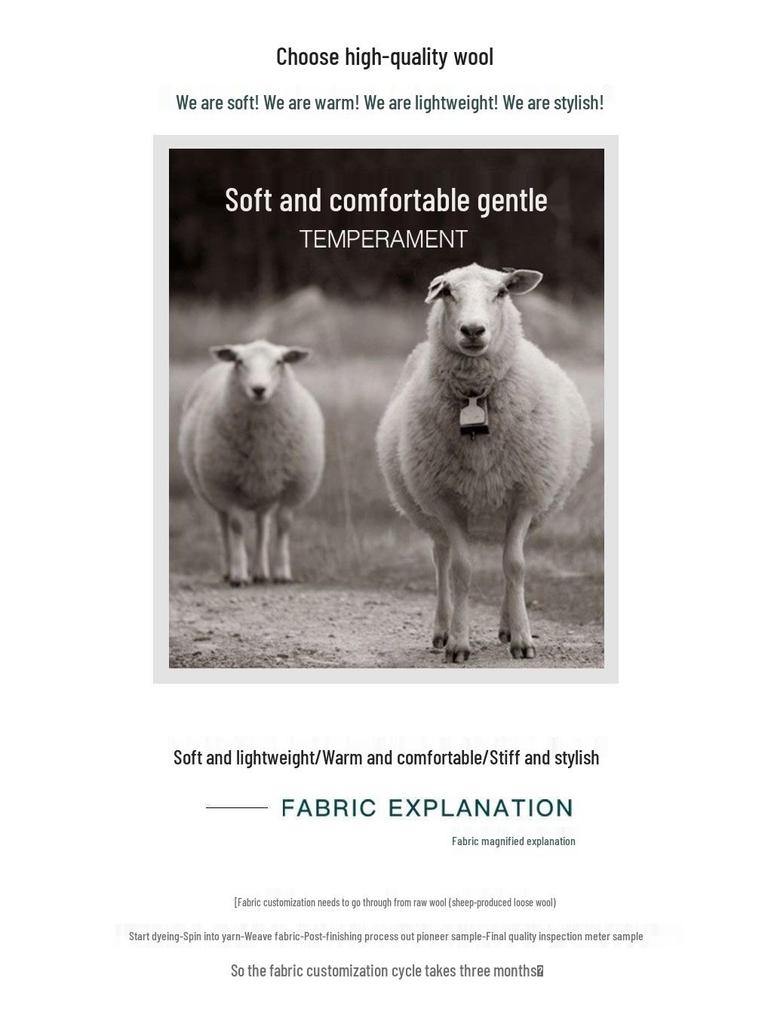 Hepburn-Style Loose Fit Wool Coat - New Autumn/Winter 2025, Age-Reducing Commute Design