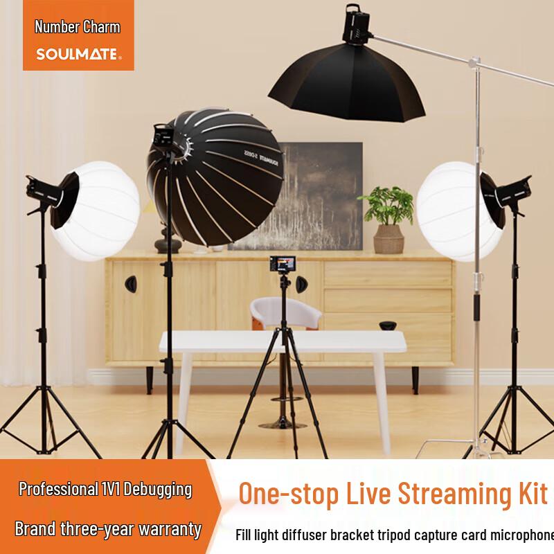 SOULMATE E300Bi Pro Bi-Color LED Video Light Kit