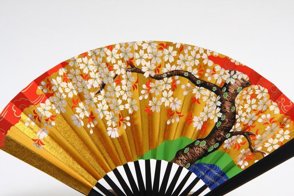 Hasegawa Kyoto Decorative Fan with Black-Dyed Ribs and Stand, Boxed (Cherry Blossom Design, 5-inch)