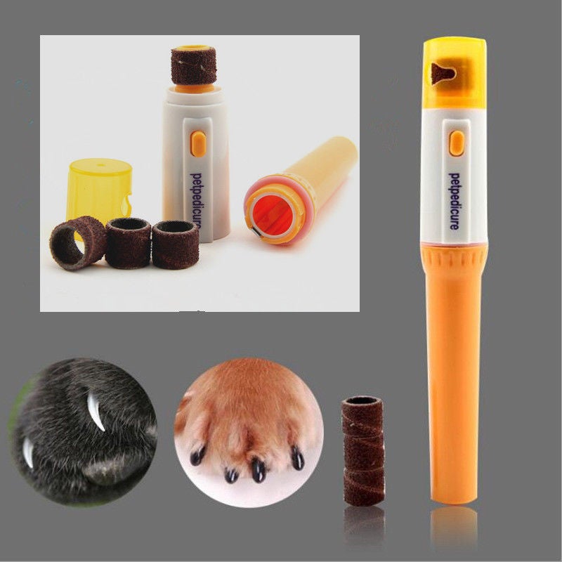 can i use regular toothpaste on a dog