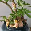 6Pcs Artistic Fairies Figurines For Outdoor Use Durability Resins Garden Sculpture Miniature Landscape Decorations