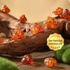 Yan Zhi Fang Premium Dried Culinary Ingredients