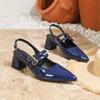 European Women's Summer 2026 New French Pointed Toe Toe Cap Thick Heel High Heels