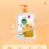 Dettol Healthy Antibacterial Hand Soap, Natural Fresh