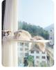 Window Cat Hammock Suction Cup Bed for Sunbathing - Kitten Hanging Nest for Glass Balcony