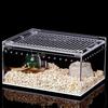 Reptile – Terarii pentru reptile