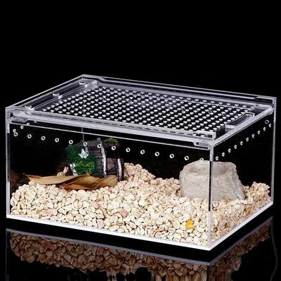 Reptilien Zuchtbox Transparente Acryl Spinne Echse Amphibien Terrarium Auslaufsicher Haustier Lebensraum Baumbewohnende Vogelspinnen Gehege
