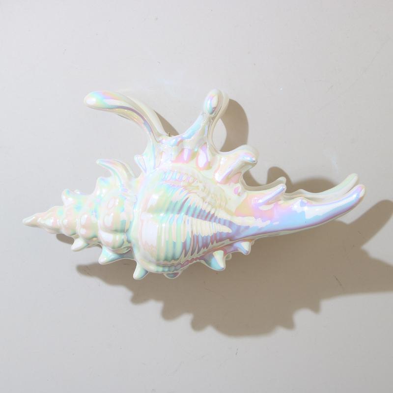 1Pcs Hair Claw Elegant Shark Clip Creative Conch Hairpin Colorful Gift For Summer Beach Headwear Hair Accessories