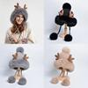 Knitted Wool Hat With Ear Warmers For Winter Women And Teens