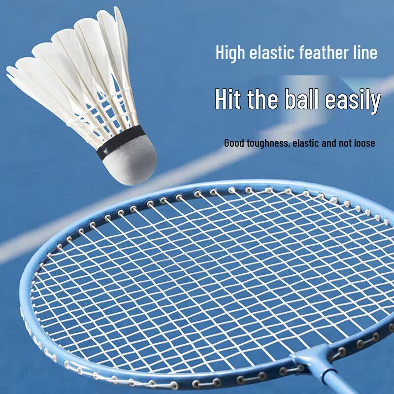 FEIERDUN Badminton Racket Set