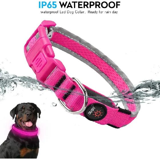 LED Dog Collar USB Rechargeable Light Up Pet Collar Glowing Nylon Adjustable Soft Night Safety Collar for Small Medium Dogs