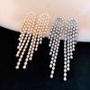Silver Needle European and American Zircon Water Drop Tassel Earrings Earrings Personality Temperament Earrings Women