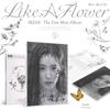 Irene   Like A Flower 1st Mini Album  Photo Book Ver. 