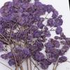 Breath Pressed Flowers DIY Table Card Catalog Ornament 14.5x10.5cm