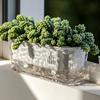 Maceta Transparente de Riego Automático para Plantas de Interior y Exterior Maceta de Plantación con Agujero de Drenaje Depósito Profundo Maceta para Hierbas y Flores con Cuerda de Mecha