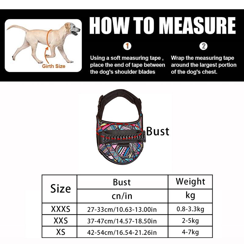 Süßes Haustiergeschirr Halsband für Welpen und Kätzchen Kleiner Hund Reflektierendes Westengeschirr Outdoor-Gehen Anti-Verlust Corgi Labrador Chihuahua