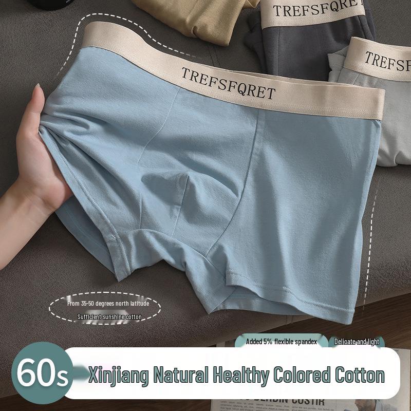 Men's Summer Antibacterial Ice Silk Seamless Boxer Briefs - Breathable, Ultra-Thin, Solid Color, Plus Size