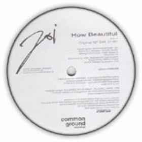 

12inch Record JOI How Beautiful CGR006 COMMON GROUND 2009 Japan Japanese Club Dance Used