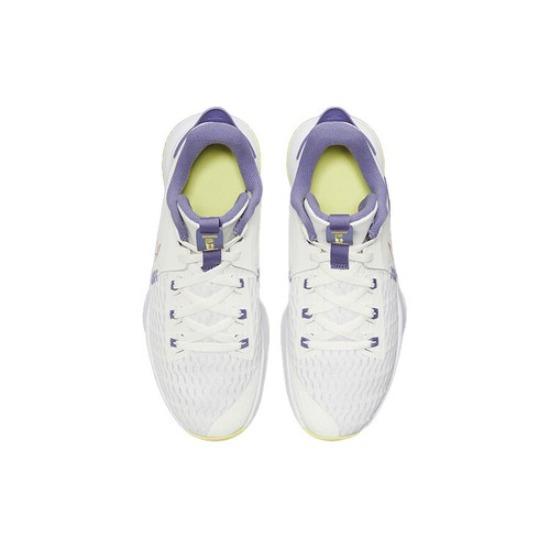 Nike LeBron Witness Summit White Metallic Bronze 2021 - CQ9381-102