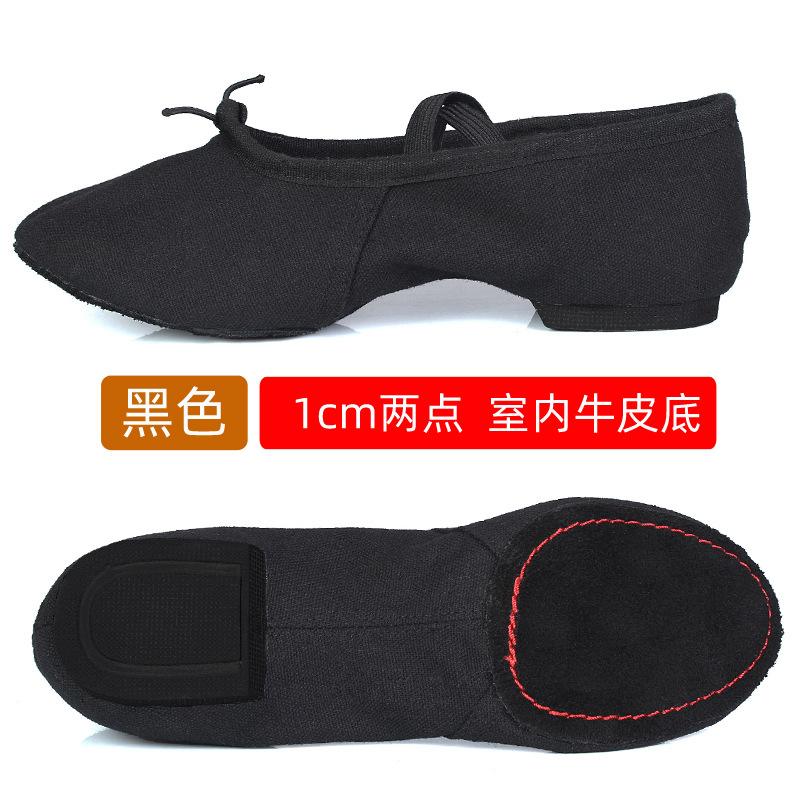 Ballet Dance Shoes Women Teacher Stage Training Sports Shoe Soft Sole Slippers Yoga Belly Practice Shoe Girls Jazz Dancing Shoes