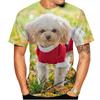 Kawaii Poodle Dog 3D Print Animal T-shirts Men Woman Fashion Streetwear Short Sleeve T Shirt Harajuku Tops Tees Kids Clothing