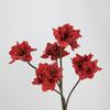 Fleurs Artificielles Clivia Miniata Multicolores Toucher Réel Pétales en Soie PU Fleur de Simulation Longue Tige Fausse Fleur Cadeau