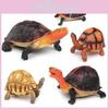 Tortue Angonoka Modèle Réaliste en PVC Pour Enfants Présentation Éducative Cadeau Collectionneur