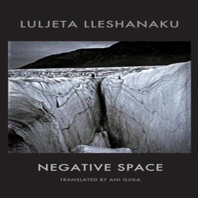 Negative Space by Luljeta Lleshanaku Paperback Book 9781780374123