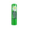 Herbacin German Chamomile Lip Balm & Hand Cream Gift Set