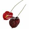 8pcs Artificial Anthurium Flower Branch Single Head Anthurium Andreanum Dakota Stem for Wedding Party Table Floral Decoration