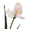 Hill Interiors The Natural Garden Collection Fringed Iris Artificial Flower