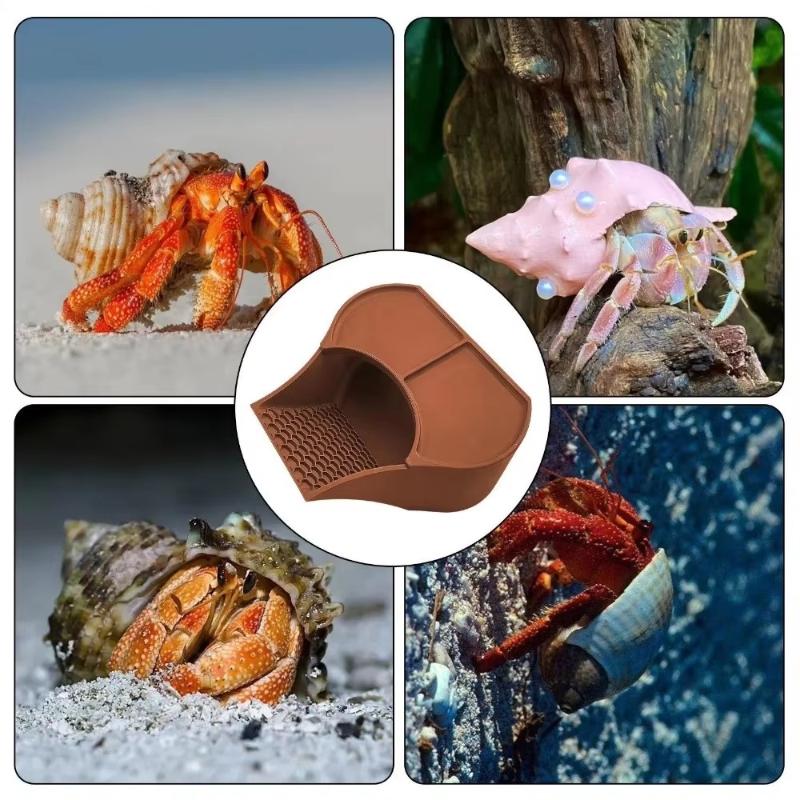 3-In-1 Hermit Crab Feeding Platform, Hideout, And Non-Slip Ramp Suitable For Reptile/Invertebrate Enclosures