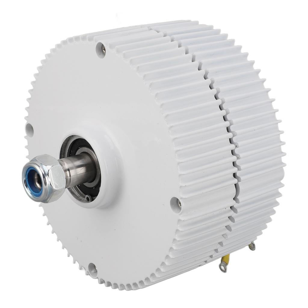 Motor sincron cu magnet permanent Dual Shaft 3 Fazat AC Alternator 12V pentru vertical sau orizontal