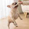 Bone Dog Toy Pet Bite Resistant Plush Puppy Squeaky Toy Squeaky Sound Funny Toy For Dogs Molar Chew Toys Dog Accessories