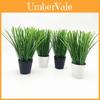 Artificial Allium Ascalonicum Potted Plant For Photography Background Home Balcony Decor