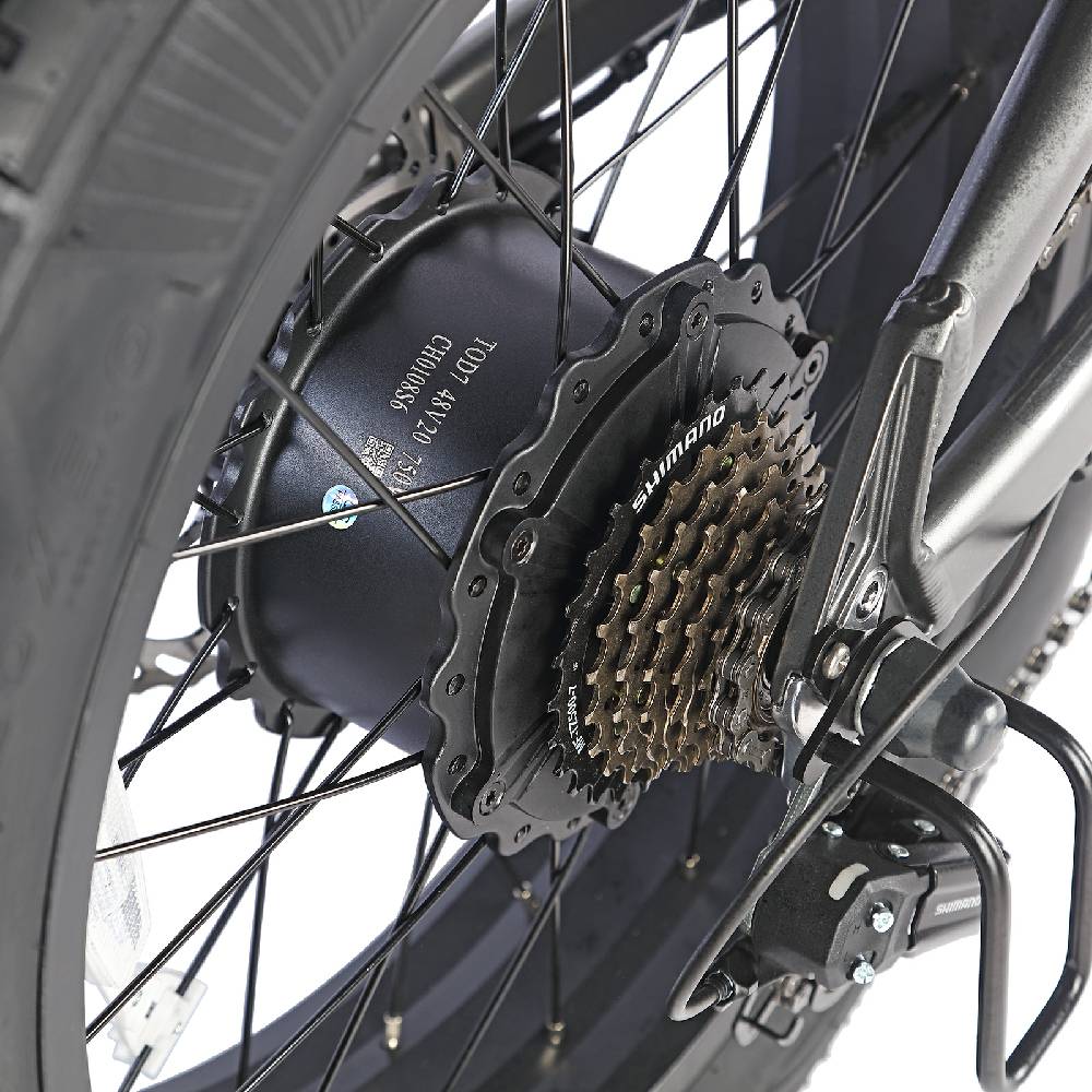 Electric Bicycle Fafrees F20 Ultra 20" Fat Tire 750W Motor Dual Hydraulic Brake 48V 25AH All Terrain Adult Electric Bike 7 Speed