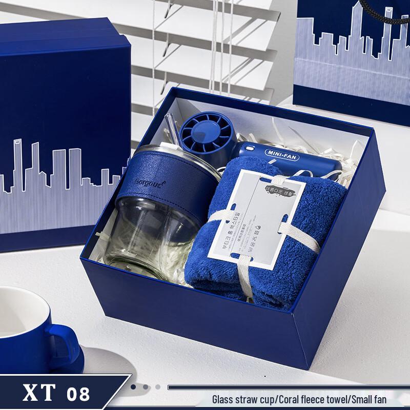 XT08 Glass Straw Cup Gift Set