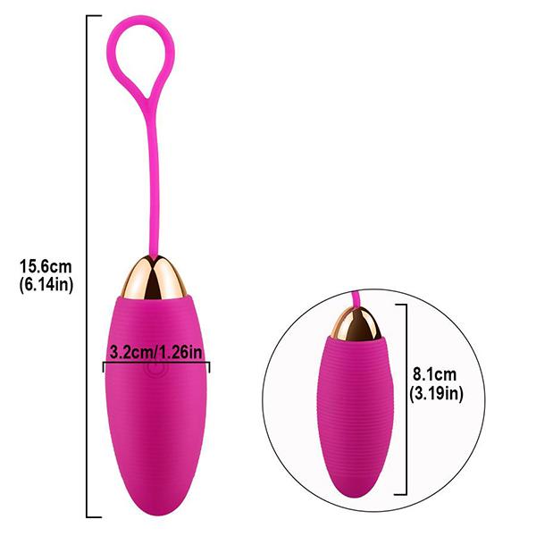 Wireless Remote Control Silicone Wearable Panties Vibrator Egg Clit G Spot Sex Toy for Women