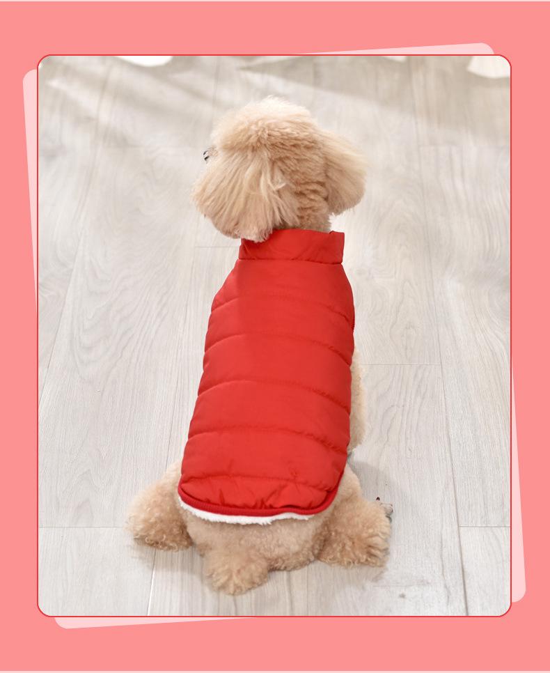 Warme, wasserdichte Baumwollweste für kleine und mittelgroße Hunde – Samtgefütterte Haustierbekleidung für Herbst und Winter