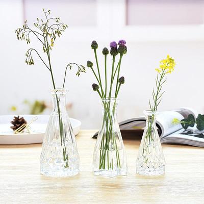European Glass Vase for Fresh and Dried Flowers - Hydroponic Desktop Flower Arrangement Ornament