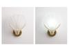 Elegant Shell Wall Lamp for Living Room, Bedroom, Hotel, and Corridor Décor