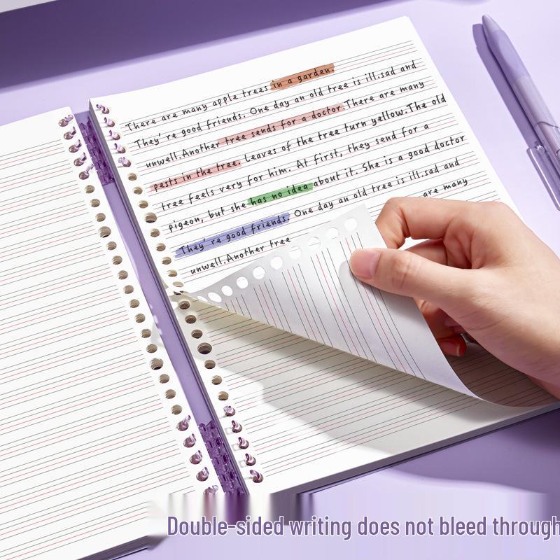 B5 Thick Loose-Leaf English Notebook for Elementary School - High-Value, Handwritten Practice Book