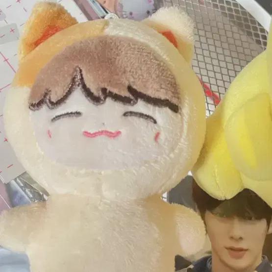 

Nct Reproduction Cheese Jan Childs Jan Doll