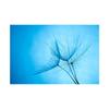 Romantic Dandelion Background Tapestry for Events,Party Banner,Home Decor,Weddings,Photo Booths