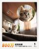 Topcony Pet 8MP and 5GHz WiFi Indoor Security Camera Camera, 4K, 2.4 Compatible, iPhone/Android Camera/Monitoring