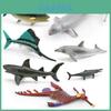 Marine Animal Replica White Whale Shark Static Model For Aquarium Display And Marine Education